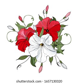 Vector floral composition with white, red  flowers petunia, buds and green leaves on white background. Hand drawn.Illustration for wedding invitation, greeting cards. Watercolor style.