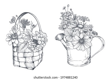Vector floral compositions with black and white hand drawn herbs and wildflowers in sketch style
