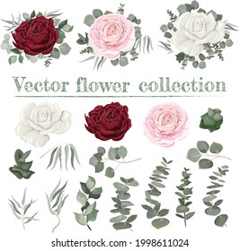 Vector floral compositions. Red, white, pink roses, eucalyptus, green plants and leaves. All flowers and plants are isolated on a white background. 