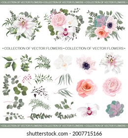 Composiciones vectoriales florales. Lirio blanco, orquídeas, rosas rosadas, suculentas, anémonas, mariposa asiática, ranunculus, gypsophila rosa, eucalipto, plantas verdes y hojas. Todas las flores y plantas están aisladas 