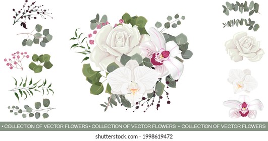 Vektorblumenkompositionen. Weiße Orchideen, weiße Rosen, Gips, Beeren, Eukalyptus, grüne Pflanzen und Blätter. Alle Elemente sind isoliert.