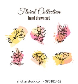 Vector floral decorative set. Colorful splashes under flower. Herbs and wild flowers. Abstract hand sketched floral collection. Cute flowers and leaves branches for invitation card. Floral vector set.