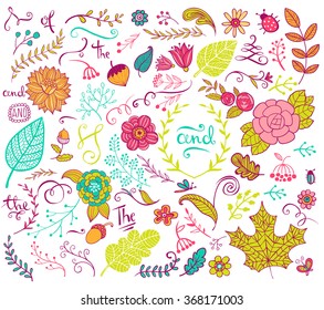 Vector floral design  elements in doodle style, hand-drawn flowers and insects and plants