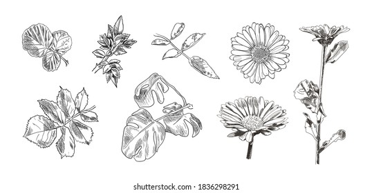 Set Three Vector Floral Bouquets Black Stock Vector (Royalty Free ...