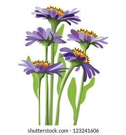 vector floral design, purple aster