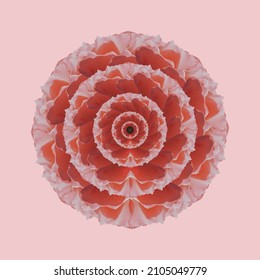 Vektor-Blumendesign, rote Rose. Hochzeit, Einladung Karte Aquarellelemente Set.