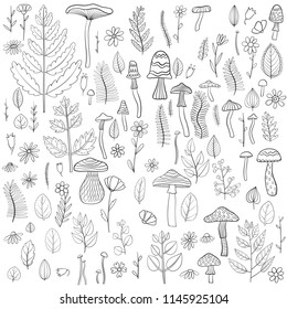 vector floral doodle set of isolated forest elements, hand drawn design elements