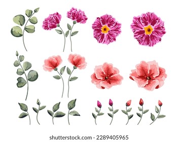 Vector of Floral element collection 