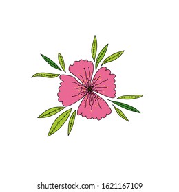 Vector floral element. Decorative botanical detail.