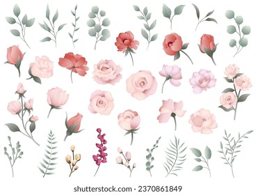 Ilustración De Elemento Floral Vector Aislada En Fondo Blanco.