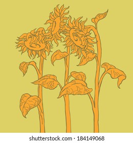 Vector floral element sunflower card