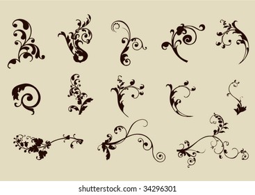 Vector floral elements