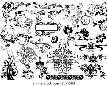 vector floral elements for design