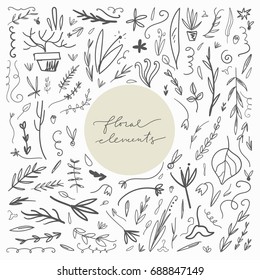 Vector floral elements for design. Plants, illustration.