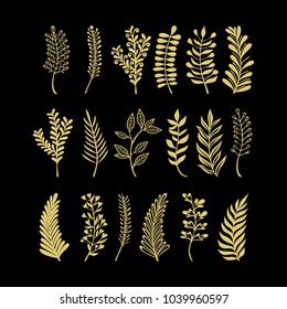 Vector floral elements in doodle style - flowers and leaves. Summer flowers for greeting cards, wedding designs or invitations.