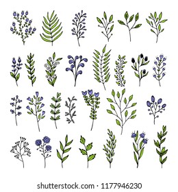 Vector floral elements in doodle style - flowers and leaves. Summer flowers for greeting cards, wedding designs or invitations.