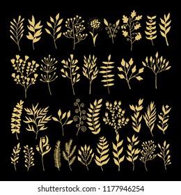 Vector floral elements in doodle style - flowers and leaves. Summer flowers for greeting cards, wedding designs or invitations.
