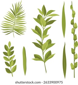 Vector floral elements of Jewish Sukkot Holiday: palm leaves, myrtle, willow. Ready to use for product design, web, cards, menu, textile. You could also move all the elements as you like