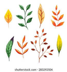 Vector Floral Elements Set. Hand Painted Collection of Colorful Watercolor Leaves. You can use it for wedding and greeting cards, printing on fabric.