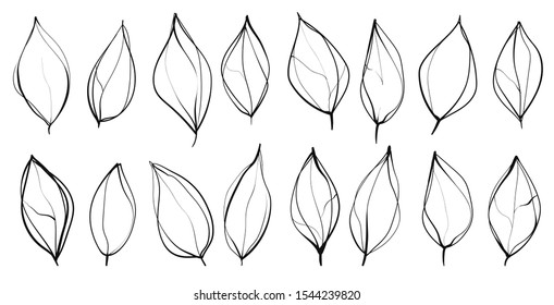 Vector floral elements. Set of hand-drawn ink leaves isolated on white background.
Black and white botanical illustrations.