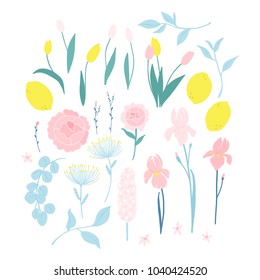 Vector floral elements set, peonies, tulips, leaves, lemons illustration