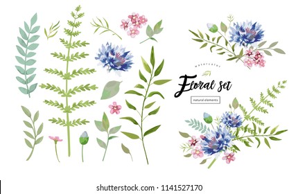 vector floral elements for your vintage posters and backgrounds with natural meadow flowers, leaves and a cornflower
