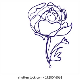 
Moda floral VECTOR Fondo con
elegante  esbozo gráfico original dibujado a mano  con una línea hermosa pion para el logotipo de diseño una