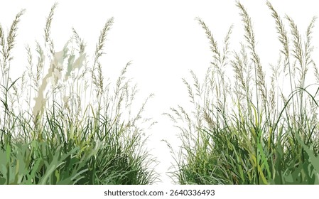 Vector floral fields, grass design, weed meadow, green nature, wild plants, botanical artwork, spring garden, nature landscape, grassy field, vibrant flowers, outdoor illustration