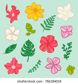 vector floral flower