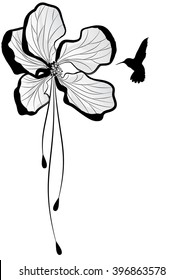 vector floral with flower of apple tree and hummingbird