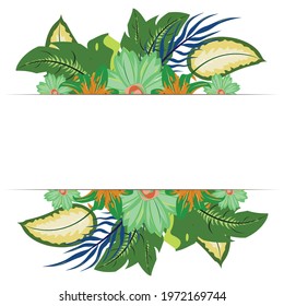 Vector Floral Foliage Graphic Set