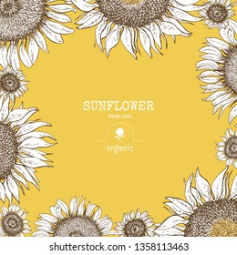 Vector floral frame with big and small sunflowers and template of logotipe on yellow. Engraving hand drawn  vintage illustration.  Organic vegan concept for banner, advertizing, label and card. 