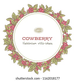 vector floral frame with cowberry, hand drawn template. Lingonberry background