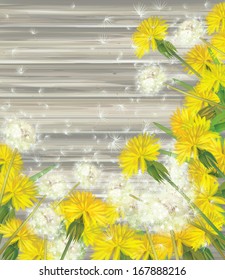 Vector floral frame with dandelions on wooden background. 