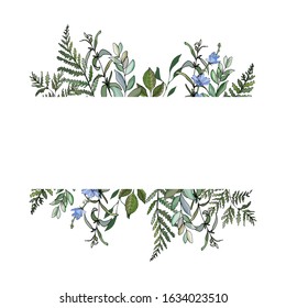 Vector floral frame from fern, eucalyptus branches, green leaves, herbs, blue chicory flowers. Greenery on white background. Copy space. Hand drawn. Design for wedding invitation, greeting card. 
