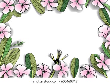 Vector floral frame made from plumeria, frangipani flowers.