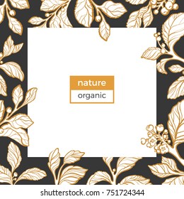 Vector floral frame of mate branches. Template in square on black background. Realistic botanical drawing leaves, berry and flowers. Organic. Sketch design natural motifs is perfect for card 