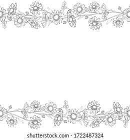 Vector floral frame with outline flowers chamomile and leaves. Black and white seamless horizontal border. Copy space. Hand drawn. Contour stock illustration for design cards, invitations, sales.