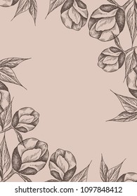Vector floral frame with peonies and leaves. Linear  graphics, sketch, ink drawing, imitation of engraving.  Hand drawn plants,  line-art. Retro, vintage flowers.