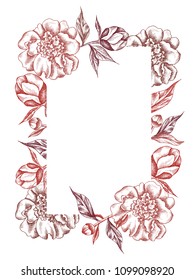 Vector floral frame with peonies and leaves. Linear  graphics, sketch, ink drawing, imitation of engraving.  Hand drawn plants,  line-art on white background. Retro, vintage flowers.