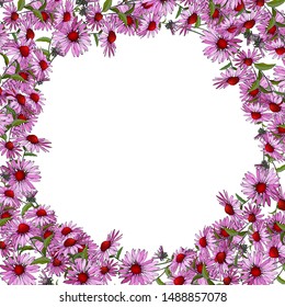 Vector floral frame with pink flowers Echinacea Purpurea on white background. Design for your wedding, birthday, saving the date card. For greeting card decoration.