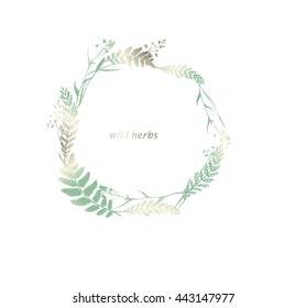 Vector floral frame with wild herbs, flowers and leaves. Hand drawn illustration in vintage style for natural design. For greeting and weeding card, wrapping, print and other. Herbal frame.