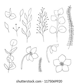 Vector floral graphics set black on white background isolated elements. Flowers, leaves, hand drawn illustration. Greeting card, invitation, party, Cristmas,new year, holiday.