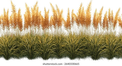 vector floral grass, prairie feather cutout, wild botanical elements, natural dry grass, minimalist plant design, ornamental leaf, soft plume grass, herbaceous artwork
