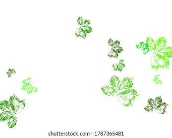 Vector floral greenery card design: Forest fern frond Eucalyptus branch green leaves foliage herb greenery yellow berries frame.  Wedding invite poster invitation.