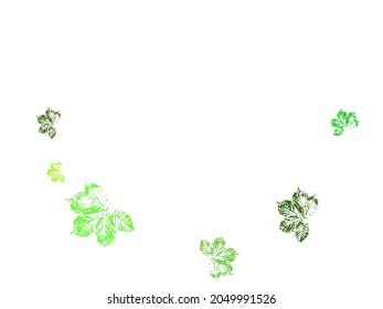 Vector floral greenery card design: Forest fern frond Eucalyptus branch green leaves foliage herb greenery yellow berries frame.  Wedding invite poster invitation.