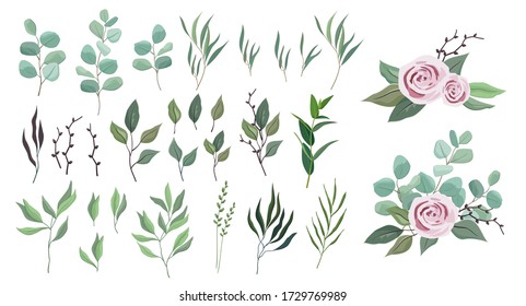 Vector floral greenery collection. set with eucalyptus silver dollar, rosemary, olive branch, fern