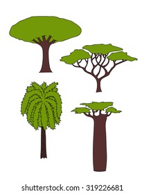 Vector floral hand drawn african trees - date palm, acacia, baobab tree, dragon tree. isolated digital nature sketch 