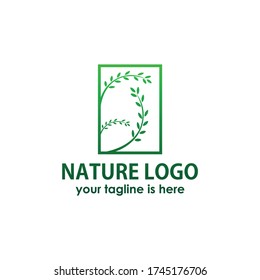 Vector of floral hand drawn elements in elegant and minimal style. Isolated objects, flowers and branches with leaves. For badges, labels, logotypes and branding business identity.