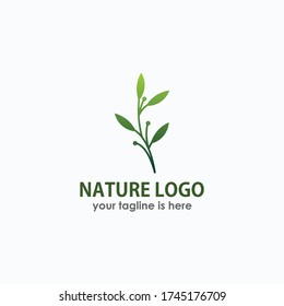 Vector of floral hand drawn elements in elegant and minimal style. Isolated objects, flowers and branches with leaves. For badges, labels, logotypes and branding business identity.